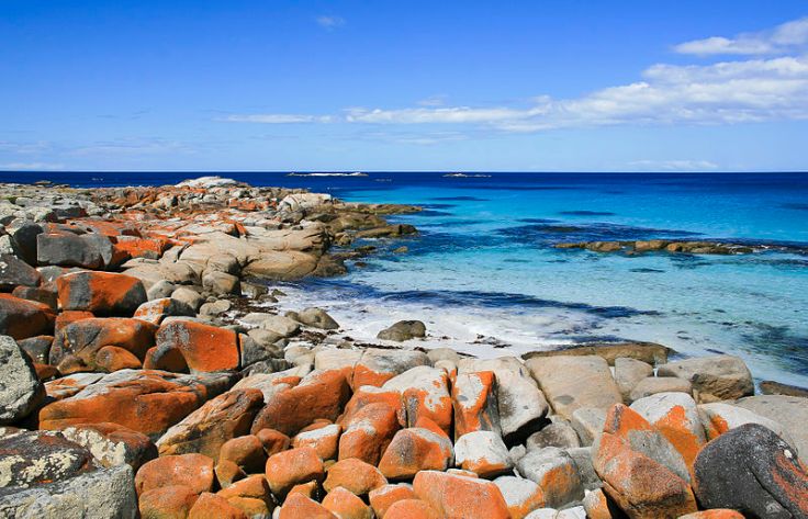 Lichen-stained rocks at the Bay of Fires, Tasmania