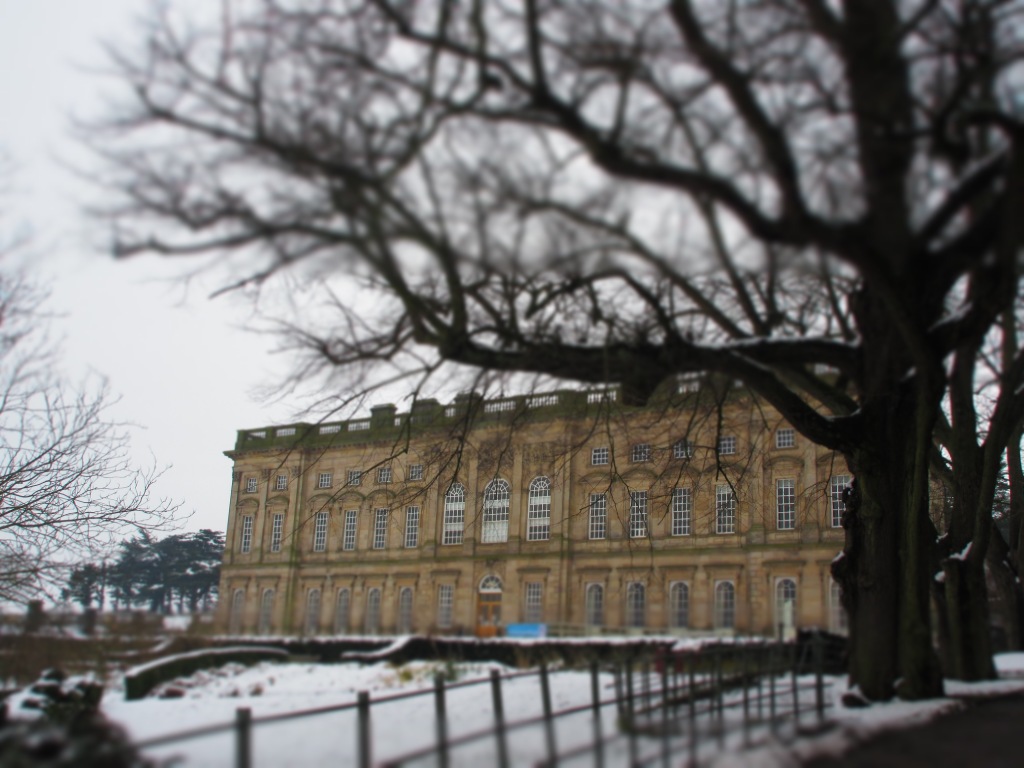 Wentworth House, Barnsley (I did not see the castle's fernery)